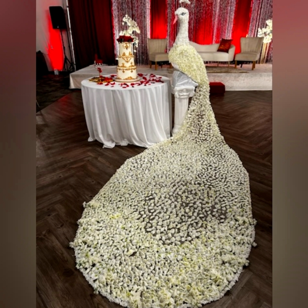 Flower Peacock for party center piece!